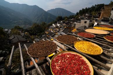 【國風畫卷】<廬山、鄱陽湖石鐘山、景德鎮(zhèn)、婺源篁嶺、三清山、夜游望仙谷6日游>